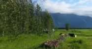 5720 S Bodenburg Loop Palmer, AK 99645 - Image 7463088