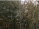 259 Morton Rd Anniston, AL 36205 - Image 7463278