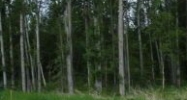 7603 E Downstream Drive Palmer, AK 99645 - Image 7465608