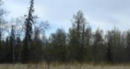 7786 E Tributary Avenue Palmer, AK 99645 - Image 7465615