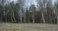 7935 E Downstream Drive Palmer, AK 99645 - Image 7465617