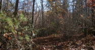 38 Christy Lane Dahlonega, GA 30533 - Image 7467929