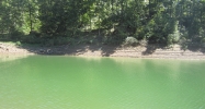 CO RD 890 Crane Hill, AL 35053 - Image 7469624