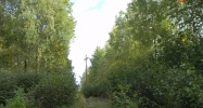 52852 Bruner Circle Nikiski, AK 99635 - Image 7471666