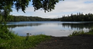 48510 Sondra Road Nikiski, AK 99635 - Image 7471669