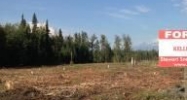 28510 Glacier Loop Road Chugiak, AK 99567 - Image 7471731