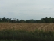 County Road 1200 S Dale, IN 47523 - Image 7473216