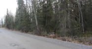751 Cahill Lane Soldotna, AK 99669 - Image 7474776