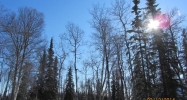 38204 Tower Park Court Soldotna, AK 99669 - Image 7476693