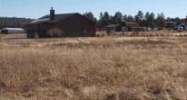1122 N Palm Tree Lane Show Low, AZ 85901 - Image 7477883