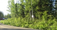 42779 Sterling Highway Soldotna, AK 99669 - Image 7486650