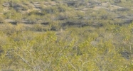 0 W COUNTY LINE Road Wickenburg, AZ 85390 - Image 7489568