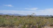56344 N VULTURE MINE Road Wickenburg, AZ 85390 - Image 7490963