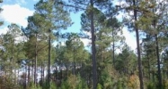 00 NW 278 Avenue Alachua, FL 32615 - Image 7491111
