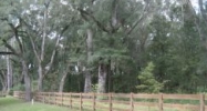 7859 NW 184th Drive Alachua, FL 32615 - Image 7491110