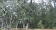 8640 NW 184th Drive Alachua, FL 32615 - Image 7491112