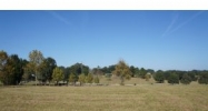 13419 NW 112th Avenue Alachua, FL 32615 - Image 7491116