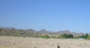 950 W McLean Drive Wickenburg, AZ 85390 - Image 7495571