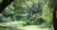 7/281 Ferretti Rd Groveland, CA 95321 - Image 7497244
