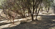 20453 Pine Mountain Drive Groveland, CA 95321 - Image 7497243