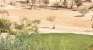 1.59AC N Yucca Drive Wickenburg, AZ 85390 - Image 7499737