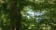 Lot 7 CR 1562 Eureka Springs, AR 72632 - Image 7502761
