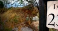237 14524 N Shaded Stone Tucson, AZ 85755 - Image 7503501