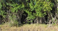 41st Ave E Bradenton, FL 34208 - Image 7511518