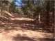 7838 W US Forest Svc200 Road Young, AZ 85554 - Image 7513298