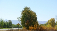 33 S HIGHWAY 33 Driggs, ID 83422 - Image 7525718