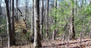 0 David Drive Tiger, GA 30576 - Image 7543301