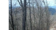 13 Jump Off Ridge Hiawassee, GA 30546 - Image 7547840