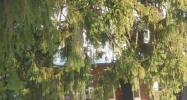 298-300 Linewood Avenue Paterson, NJ 07502 - Image 7570373