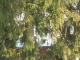 298-300 Linewood Avenue Paterson, NJ 07502 - Image 7590886