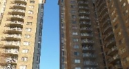 1836 Metzerott Rd Unit 1607 Hyattsville, MD 20783 - Image 7593092