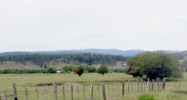 403 Wiley Street New Meadows, ID 83654 - Image 7595797