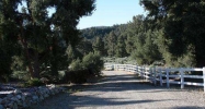 16011 Mountain Lilac Trail Frazier Park, CA 93225 - Image 7649608