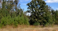 4140 Liberty Church Road White Plains, GA 30678 - Image 7674174