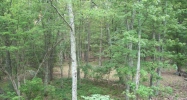 0 Johnson Lane Menlo, GA 30731 - Image 7737606