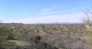 0 E Percheron Road #127 Wickenburg, AZ 85390 - Image 7739615