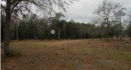 0 BAY POND RD Ravenel, SC 29470 - Image 7743756