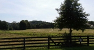 150 Woodhaven Lane Ball Ground, GA 30107 - Image 7753546