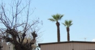 826 South 31st Avenue Phoenix, AZ 85009 - Image 7762279