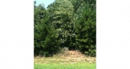 303 Carney Lane Ball Ground, GA 30107 - Image 7772868