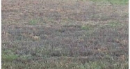 LOT #47 NORTH PARK II Eddyville, KY 42038 - Image 7789949