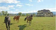 9615 Polo Club Court Littleton, CO 80125 - Image 7791084