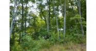 2194 Bugscuffle Spur Hiawassee, GA 30546 - Image 7791222