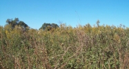 0 co rd 796, Cullman, AL 35055 - Image 7808668