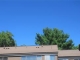 38 Laurel Wood  Drive Stoughton, MA 02072 - Image 7817282