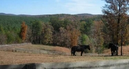 76 Farmhouse Road Ball Ground, GA 30107 - Image 7820994